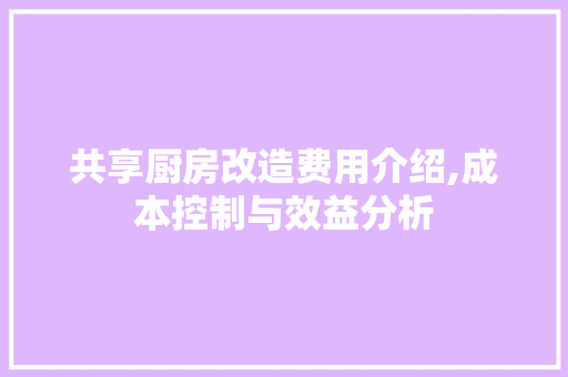 共享厨房改造费用介绍,成本控制与效益分析