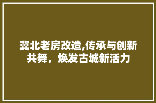 冀北老房改造,传承与创新共舞，焕发古城新活力