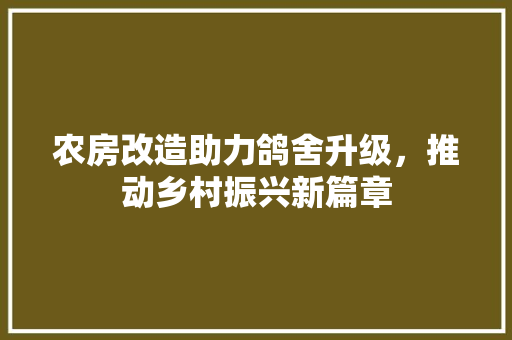 农房改造助力鸽舍升级，推动乡村振兴新篇章