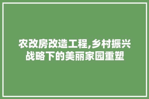 农改房改造工程,乡村振兴战略下的美丽家园重塑