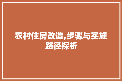 农村住房改造,步骤与实施路径探析