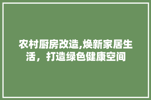 农村厨房改造,焕新家居生活，打造绿色健康空间