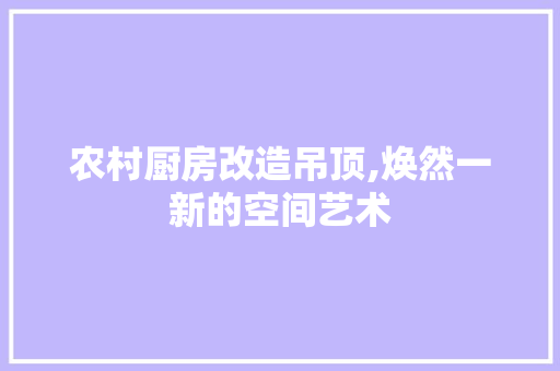 农村厨房改造吊顶,焕然一新的空间艺术