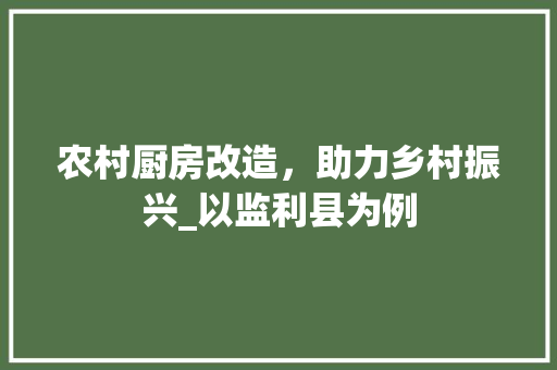 农村厨房改造，助力乡村振兴_以监利县为例