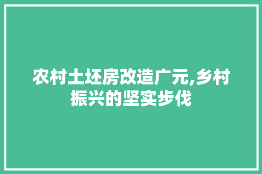 农村土坯房改造广元,乡村振兴的坚实步伐