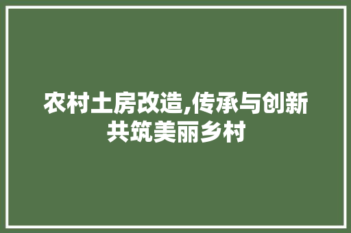农村土房改造,传承与创新共筑美丽乡村