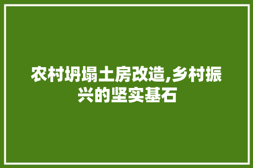 农村坍塌土房改造,乡村振兴的坚实基石