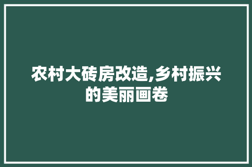 农村大砖房改造,乡村振兴的美丽画卷