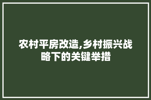 农村平房改造,乡村振兴战略下的关键举措