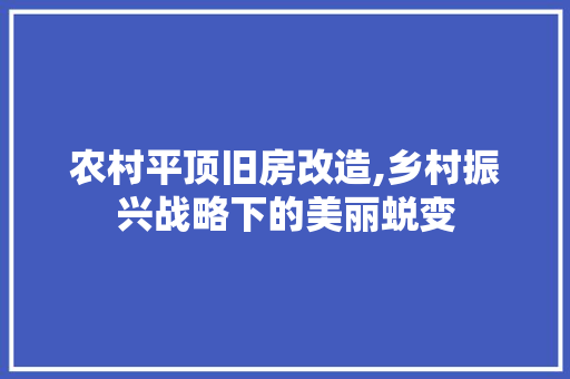 农村平顶旧房改造,乡村振兴战略下的美丽蜕变
