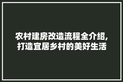 农村建房改造流程全介绍,打造宜居乡村的美好生活