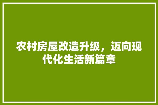 农村房屋改造升级，迈向现代化生活新篇章