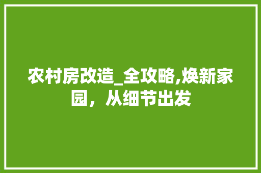 农村房改造_全攻略,焕新家园，从细节出发