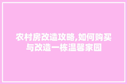 农村房改造攻略,如何购买与改造一栋温馨家园