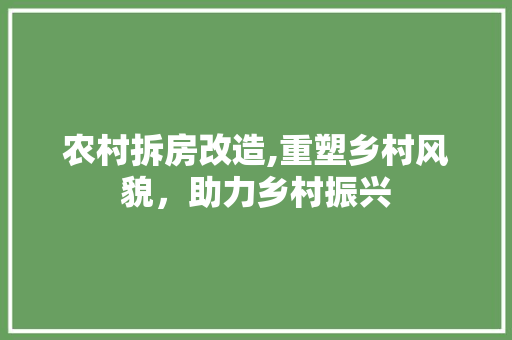 农村拆房改造,重塑乡村风貌，助力乡村振兴