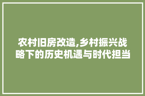 农村旧房改造,乡村振兴战略下的历史机遇与时代担当