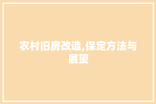 农村旧房改造,保定方法与展望