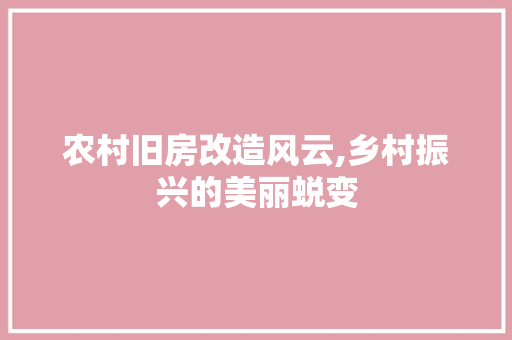 农村旧房改造风云,乡村振兴的美丽蜕变
