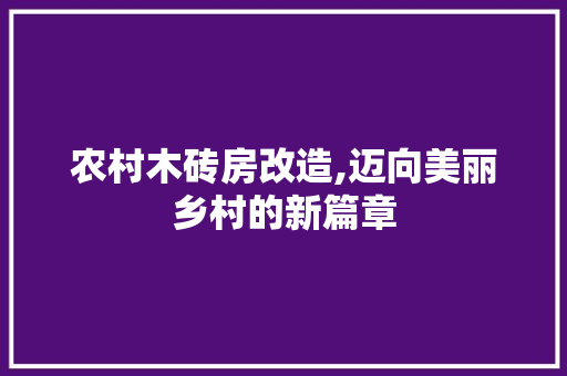 农村木砖房改造,迈向美丽乡村的新篇章