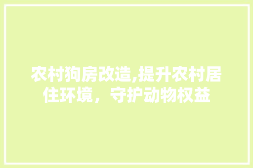 农村狗房改造,提升农村居住环境，守护动物权益