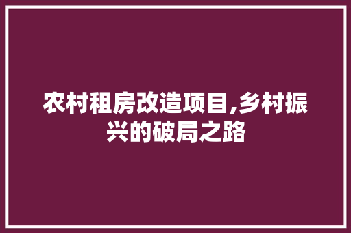 农村租房改造项目,乡村振兴的破局之路