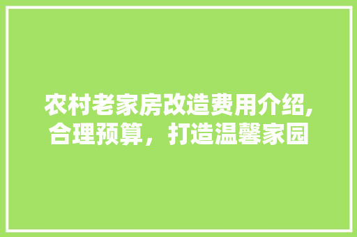 农村老家房改造费用介绍,合理预算，打造温馨家园