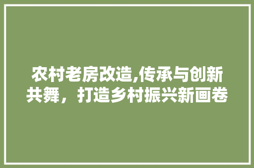 农村老房改造,传承与创新共舞，打造乡村振兴新画卷