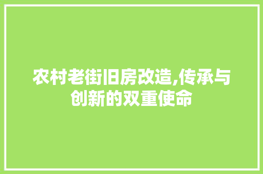 农村老街旧房改造,传承与创新的双重使命