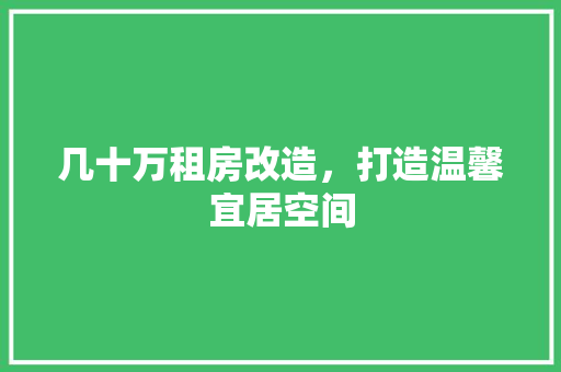 几十万租房改造，打造温馨宜居空间