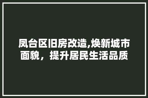凤台区旧房改造,焕新城市面貌，提升居民生活品质