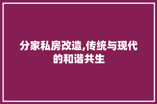 分家私房改造,传统与现代的和谐共生