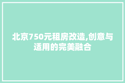 北京750元租房改造,创意与适用的完美融合
