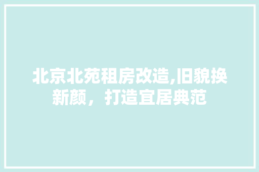 北京北苑租房改造,旧貌换新颜，打造宜居典范