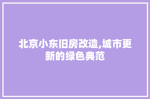 北京小东旧房改造,城市更新的绿色典范