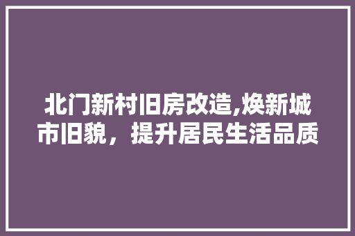 北门新村旧房改造,焕新城市旧貌，提升居民生活品质