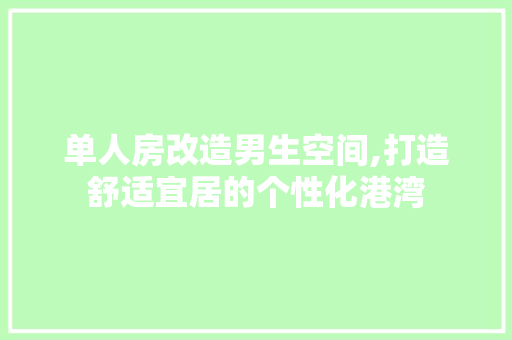 单人房改造男生空间,打造舒适宜居的个性化港湾