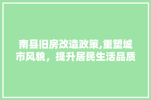 南县旧房改造政策,重塑城市风貌，提升居民生活品质