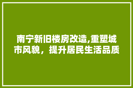南宁新旧楼房改造,重塑城市风貌，提升居民生活品质