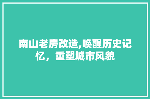 南山老房改造,唤醒历史记忆，重塑城市风貌