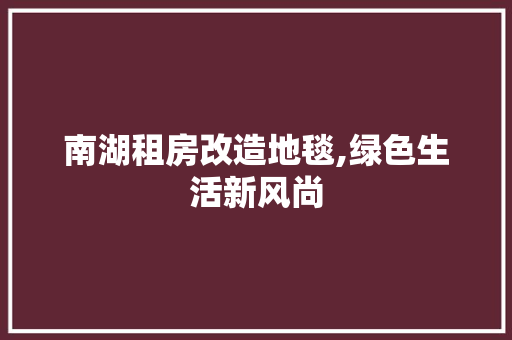南湖租房改造地毯,绿色生活新风尚