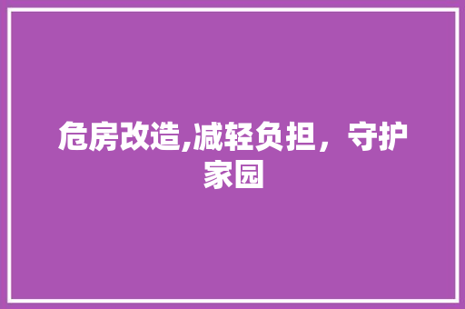 危房改造,减轻负担，守护家园