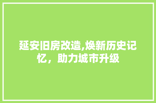 延安旧房改造,焕新历史记忆，助力城市升级