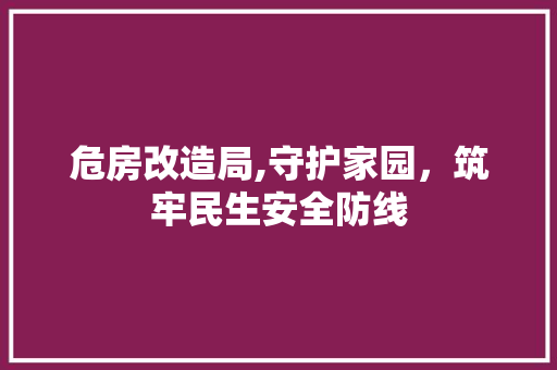危房改造局,守护家园，筑牢民生安全防线