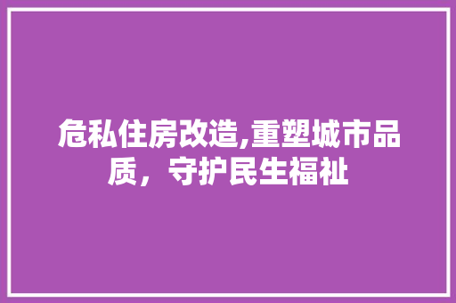 危私住房改造,重塑城市品质，守护民生福祉