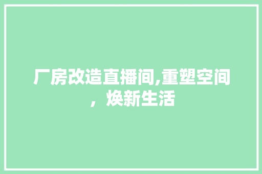 厂房改造直播间,重塑空间，焕新生活