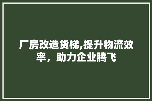 厂房改造货梯,提升物流效率，助力企业腾飞