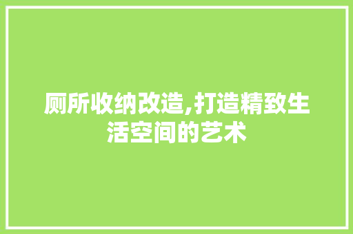 厕所收纳改造,打造精致生活空间的艺术