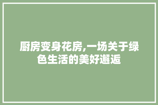 厨房变身花房,一场关于绿色生活的美好邂逅