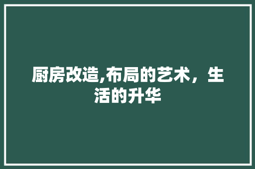 厨房改造,布局的艺术，生活的升华