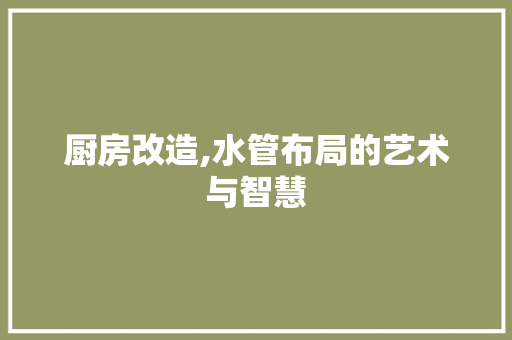 厨房改造,水管布局的艺术与智慧